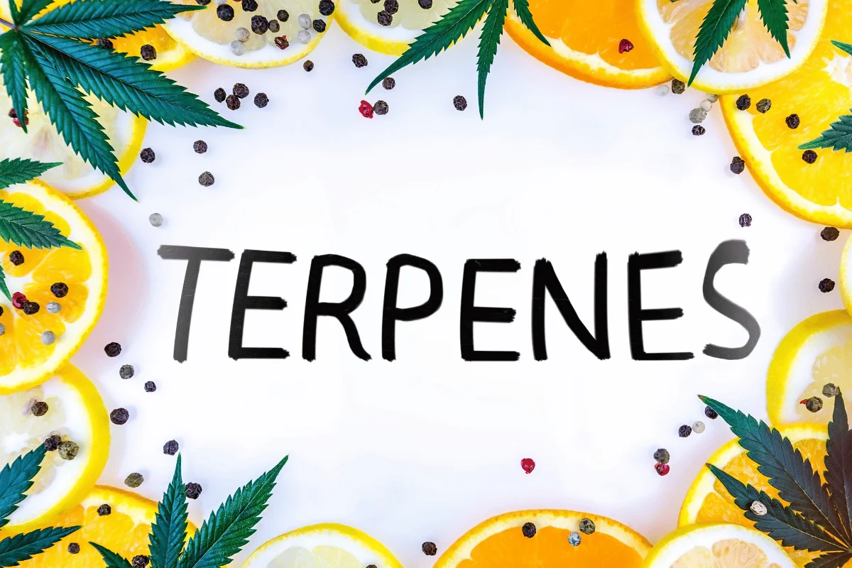 Cannabis derived terpenes