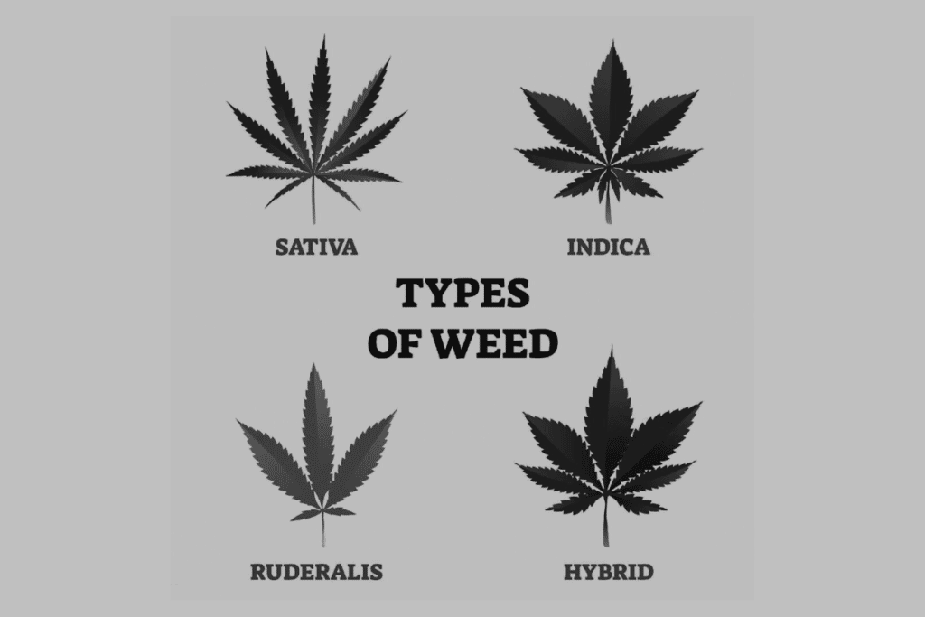 Types of weed