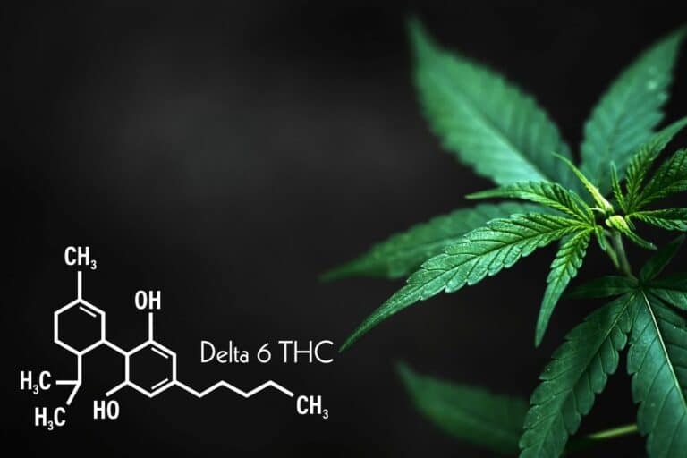 Delta 6 THC: Unveiling the Cannabinoid’s Potential and Effects