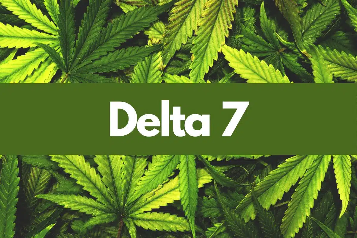 Delta 7 THC