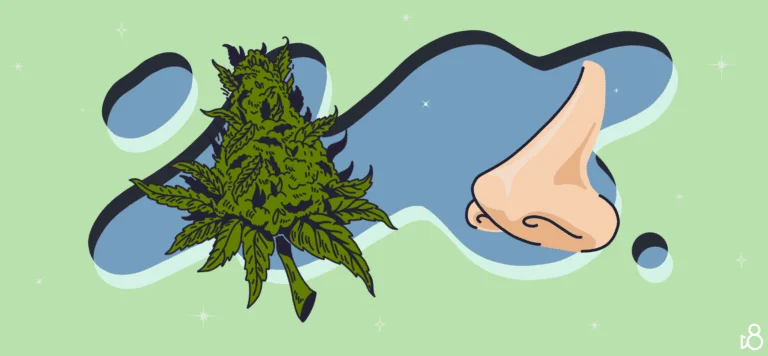 How to Eliminate Cannabis Smell From Clothes, Cars, and Rooms Quickly