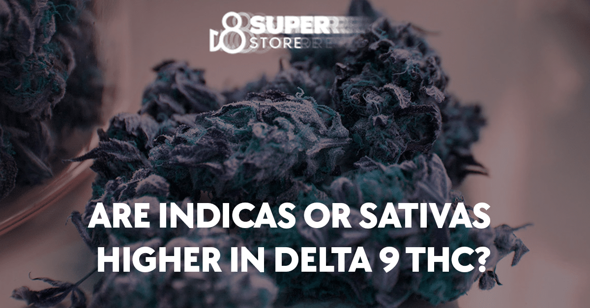 Indicas or sativas: which is higher in Delta 9 THC?
