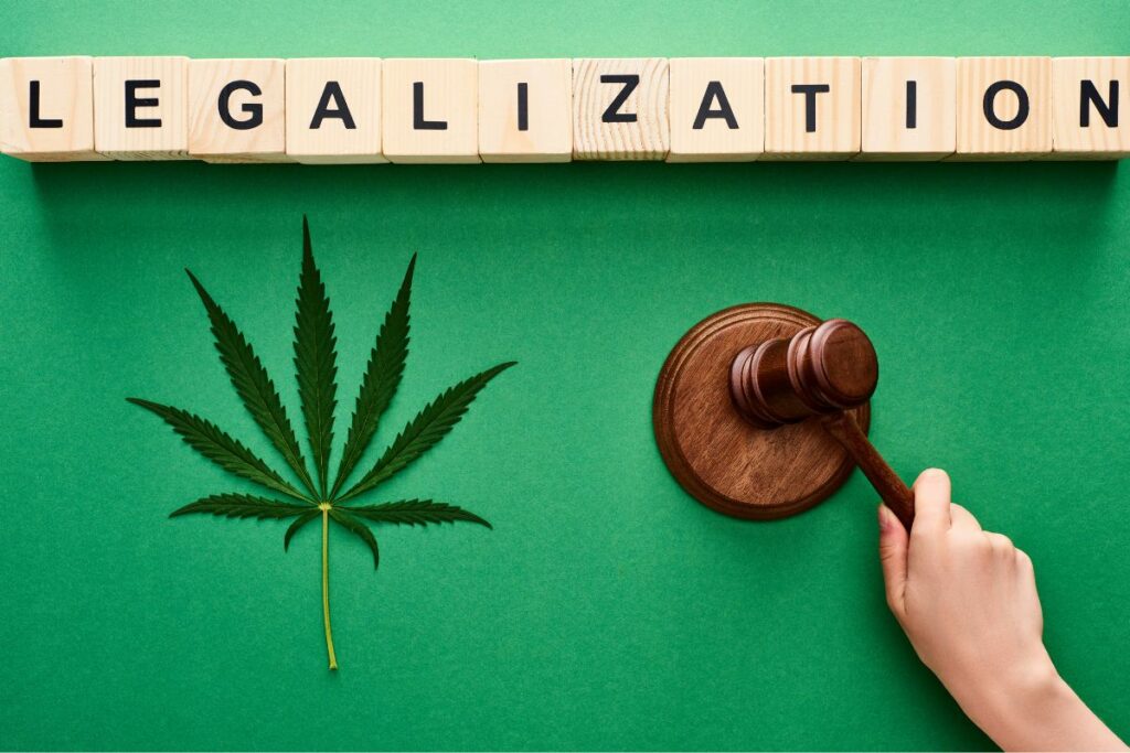 Florida law about marijuana