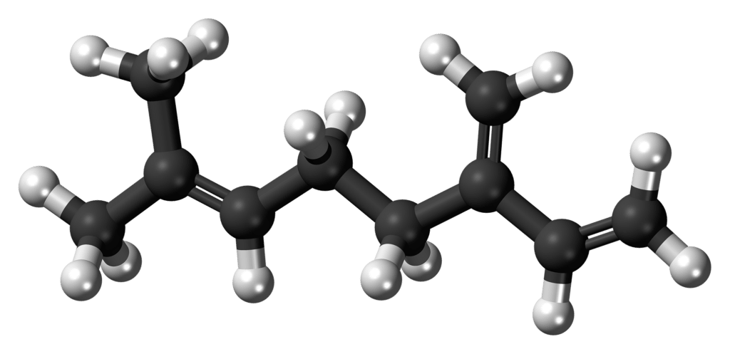Beta Myrcene molecule ball