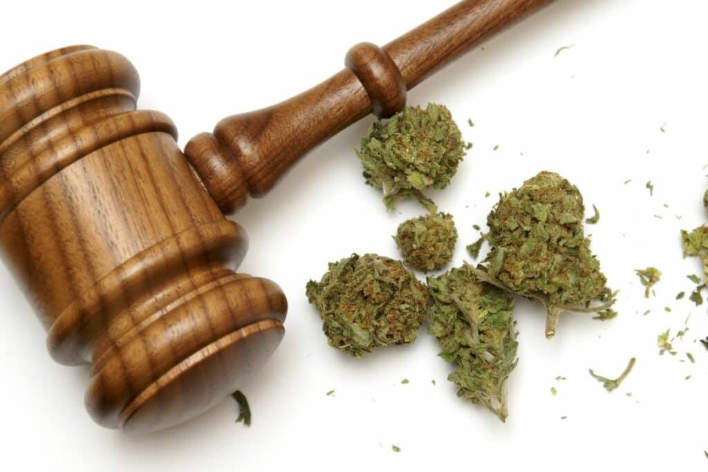 Cannabis law and regulations