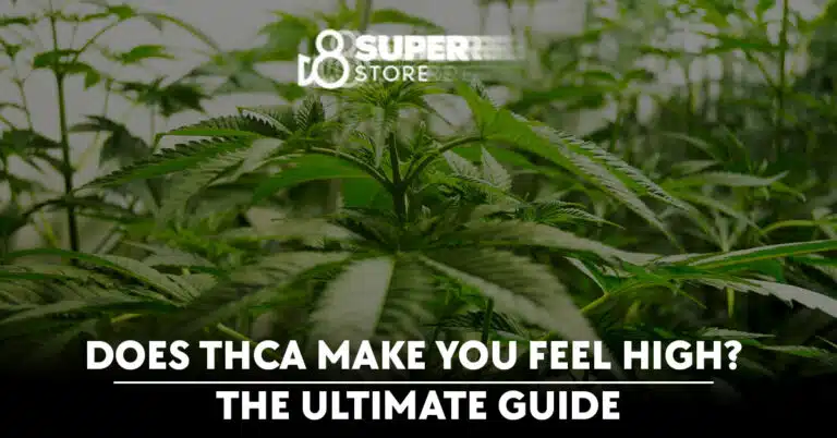 Does THCA Make You Feel High? The Ultimate Guide