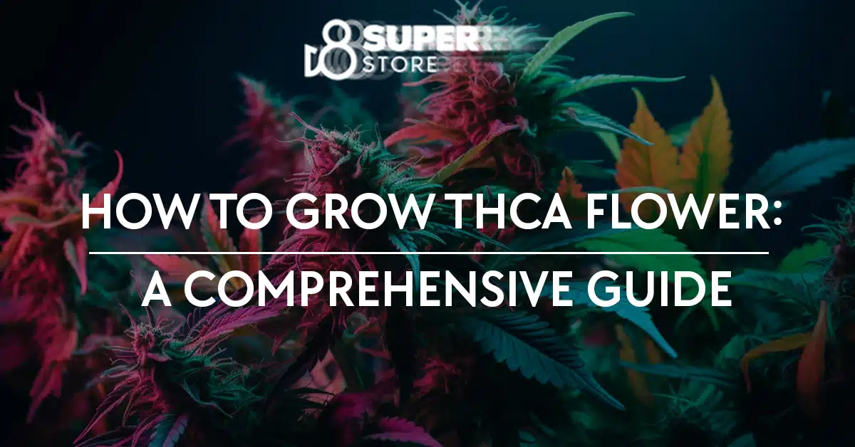 A comprehensive guide on growing THCA flower.