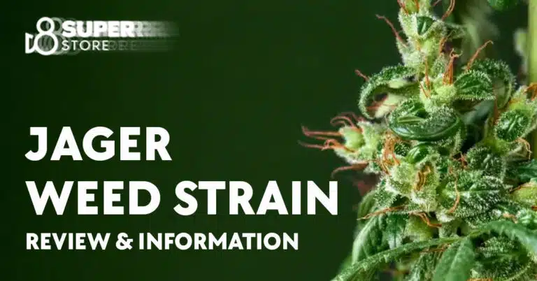 Jager Weed Strain Review & Information