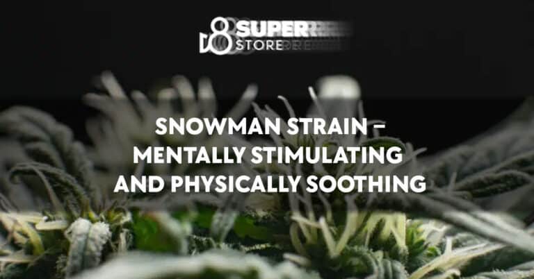 Snowman Strain – Mentally Stimulating and Physically Soothing
