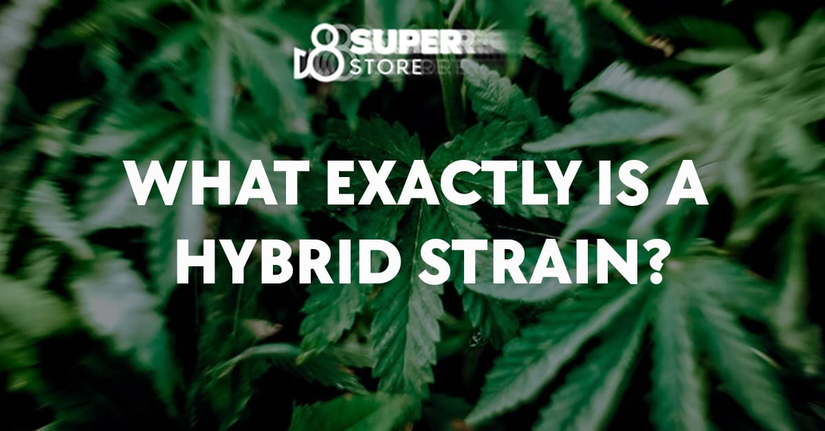 What exactly is a hybrid strain of delta-8 THC?