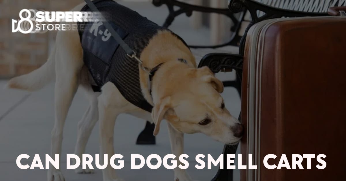 Can drug dogs detect carts?