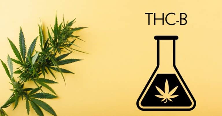 What is THC-B: Exploring the Properties and Effects of This Cannabinoid
