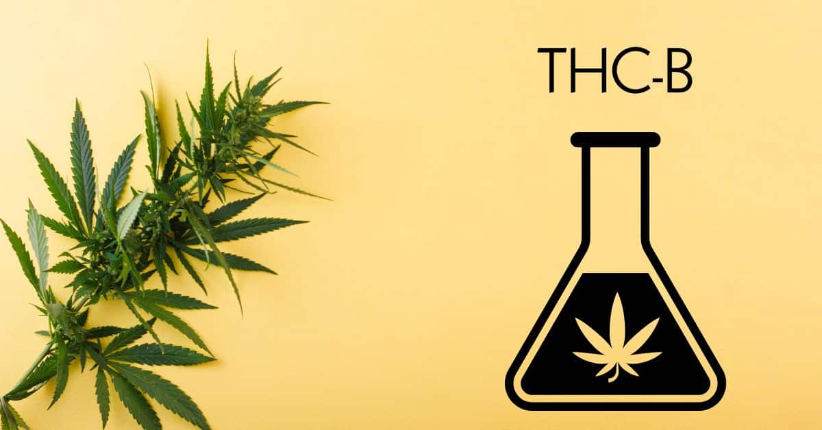 THC B getting made from marijuana