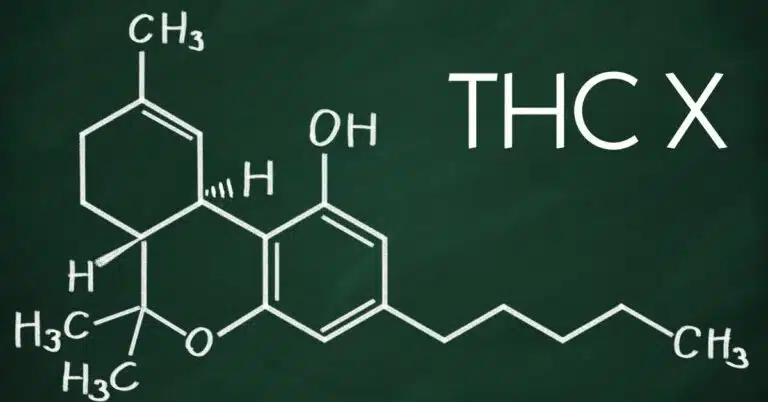 What is THC-X: A Comprehensive Guide to Understanding Its Effects and Benefits