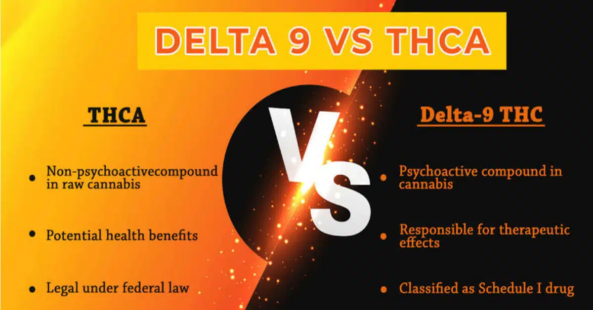 THCA vs Delta 9.