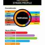 The strain profile of 3CHI Premium True Strains Vape Pods | 2g, featuring Kyle Kush and THC.