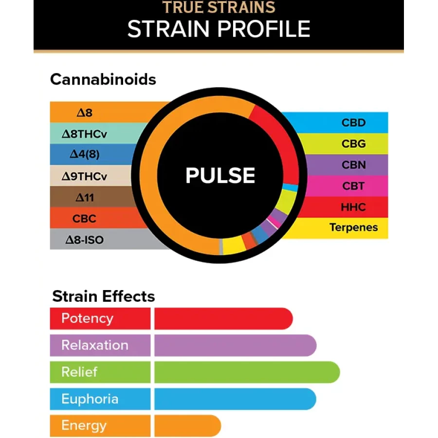 3CHI Kyle Kush THC Disposable Vapes with premium strain profiles in 2g vape pods.