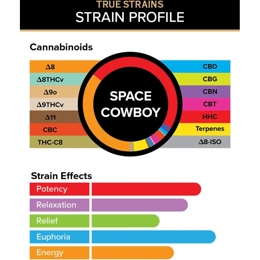 3CHI Kyle Kush THC Disposable Vapes loaded with Premium True Strains, 2g strain profile infographic available.