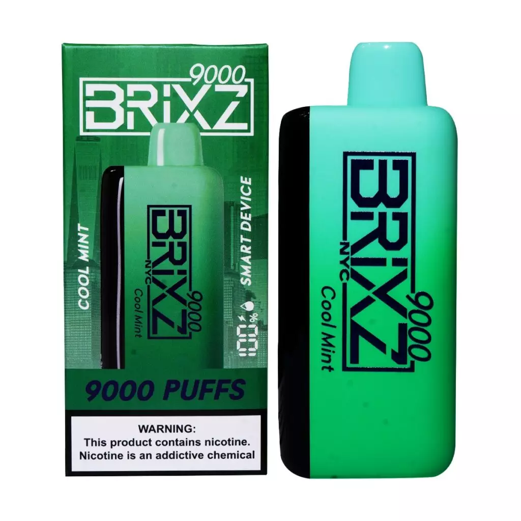 Brixz 9000 Puff Nicotine Disposable Vape - Cool Mint