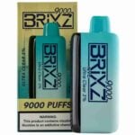 Brixz 9000 Puff Nicotine Disposable Vape - Ultra Clear 3%