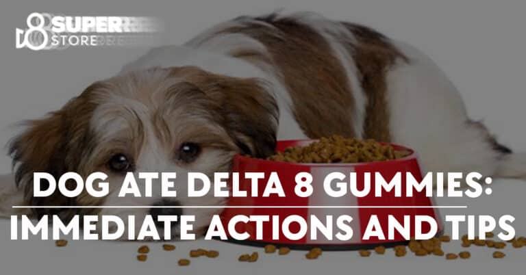 Dog Ate Delta 8 Gummies: Immediate Actions and Tips