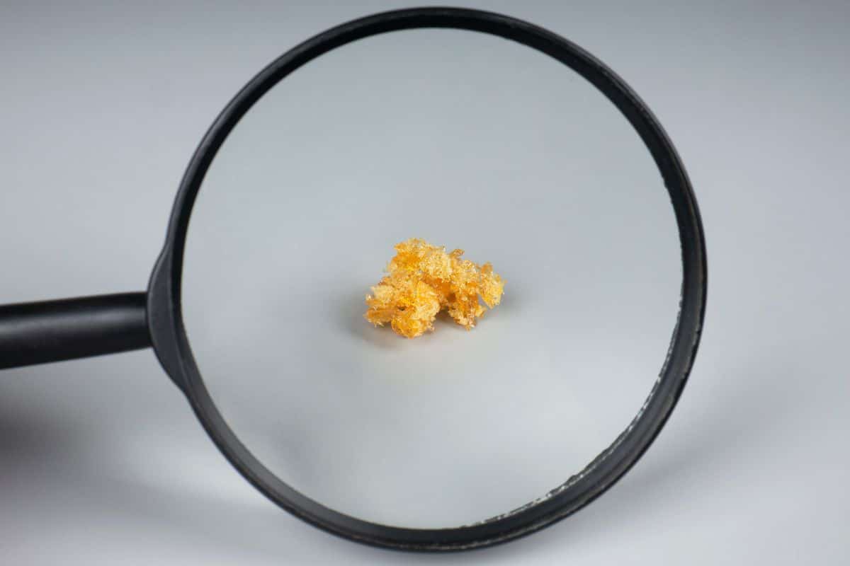 A magnifying glass used to differentiate between hash rosin and rosin.