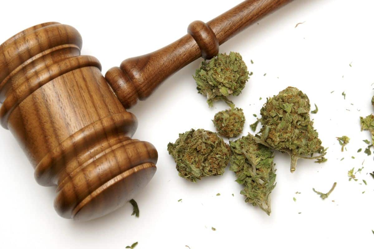 Marijuana laws all over the world