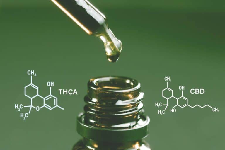 THCA vs CBD: Comparing Key Cannabinoid Benefits