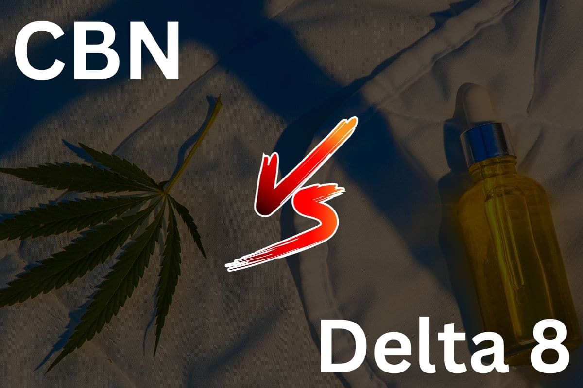 CBN vs Delta 8 guide