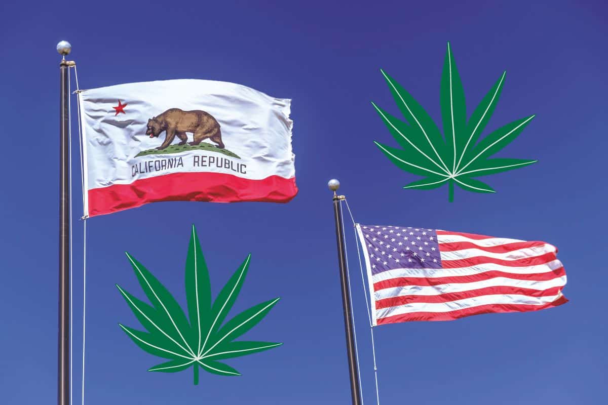 California flag and marijuana leaf