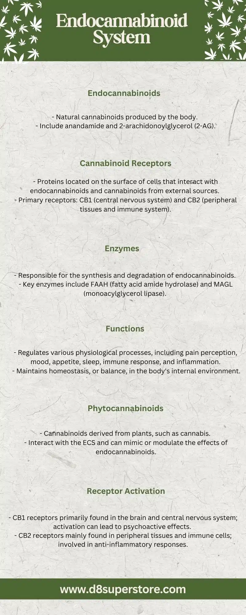 An informative poster comparing THC-A and THC-O within the endocrinology system.