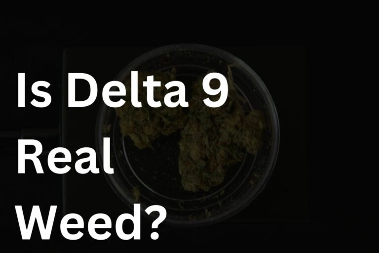 Is Delta 9 Real Weed? Unraveling the Truth