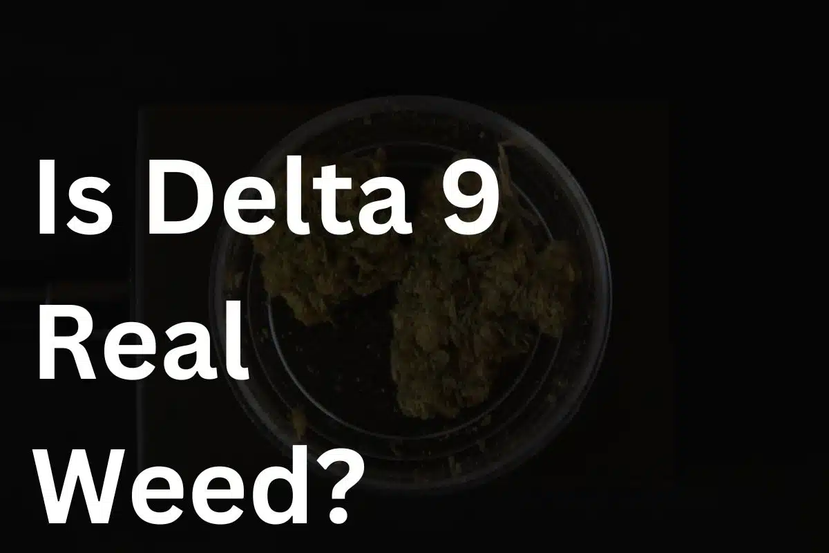 Guide on Delta 9 and Real Weed Banner