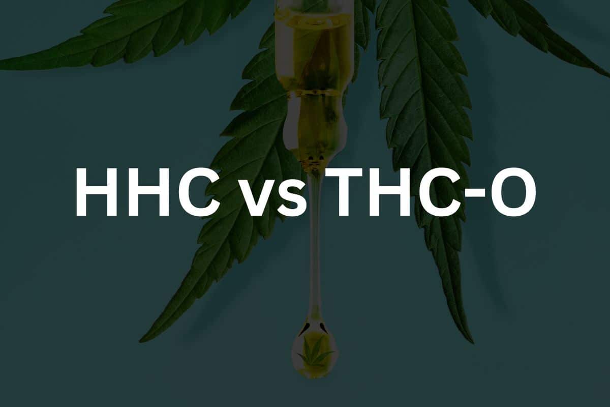 HHC vs THC-O Guide