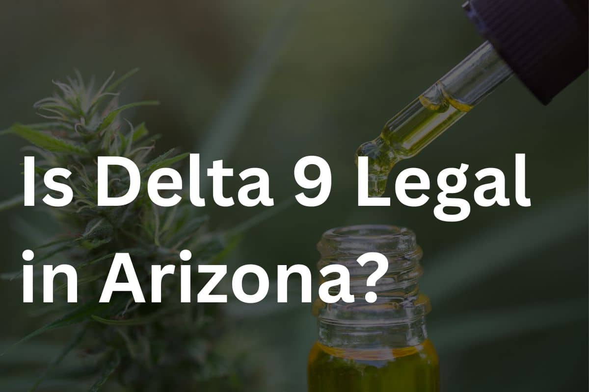 Is Delta 9 Legal in Arizona Guide