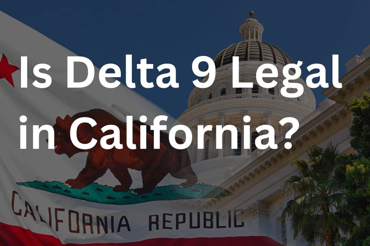 Is Delta 9 Legal in California Guide