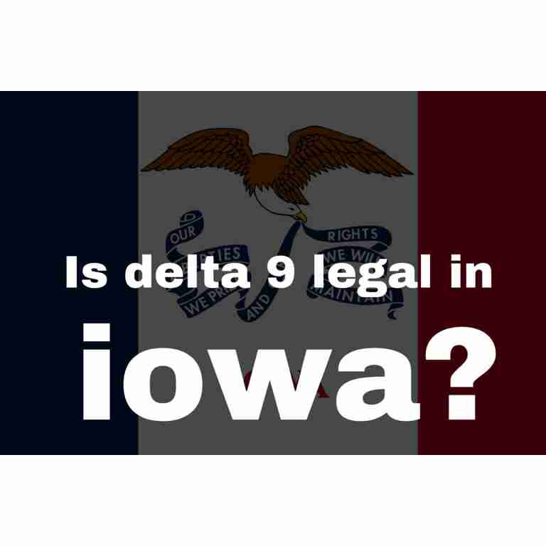 Is Delta 9 Legal in Iowa? An Insightful Overview