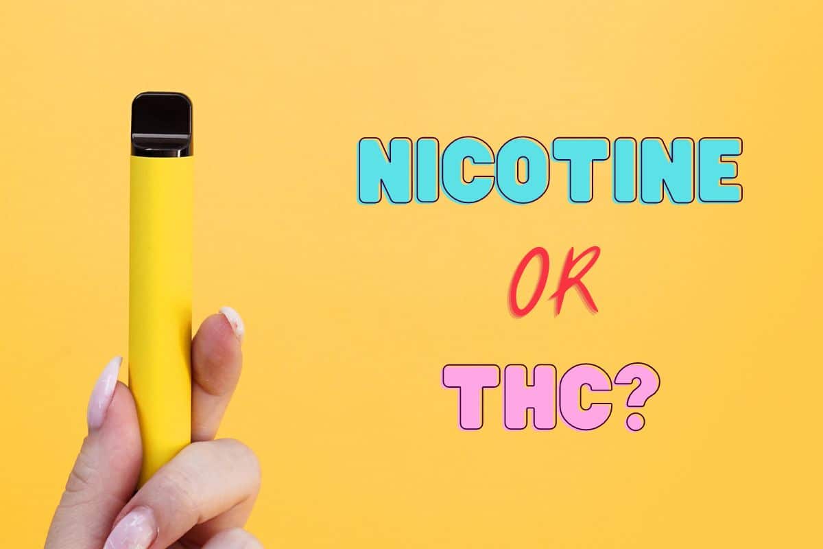Nicotine or THC in an elf vape bar