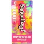 Shrumfuzed Nootropic Mushroom Gummies 10pc - Watermelon