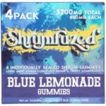 Shrumfuzed Nootropic Mushroom Gummies 4 Piece - Blue Lemonade