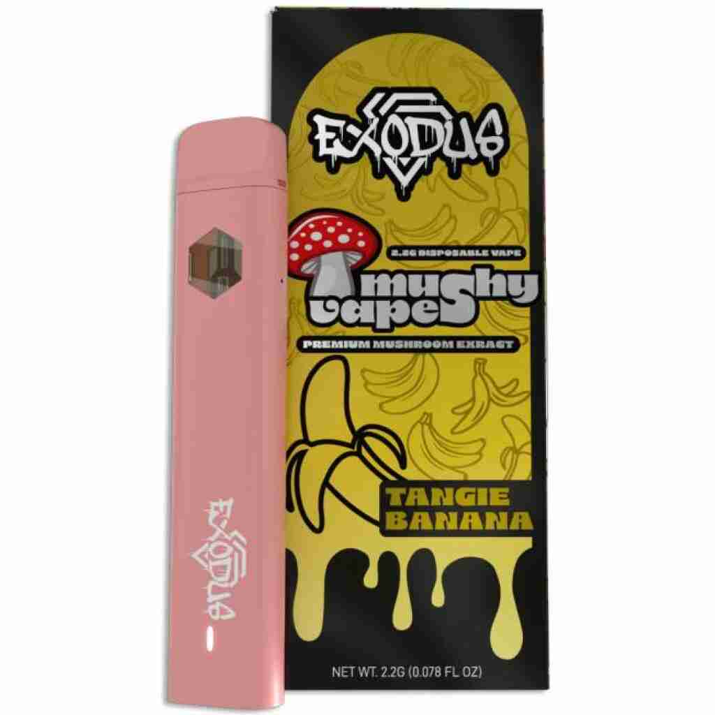 exodus mushy vapes disposable 2.2g tangie banana