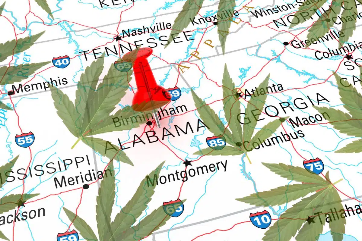 Alabama state on map of U.S with marijuana leaves in surrounding 
