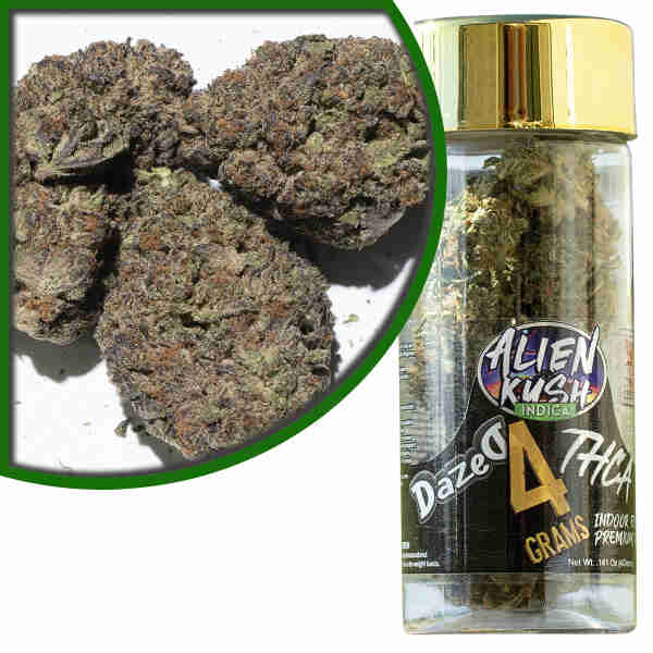 A jar of Ghost Train Haze marijuana with a gold label next to it.