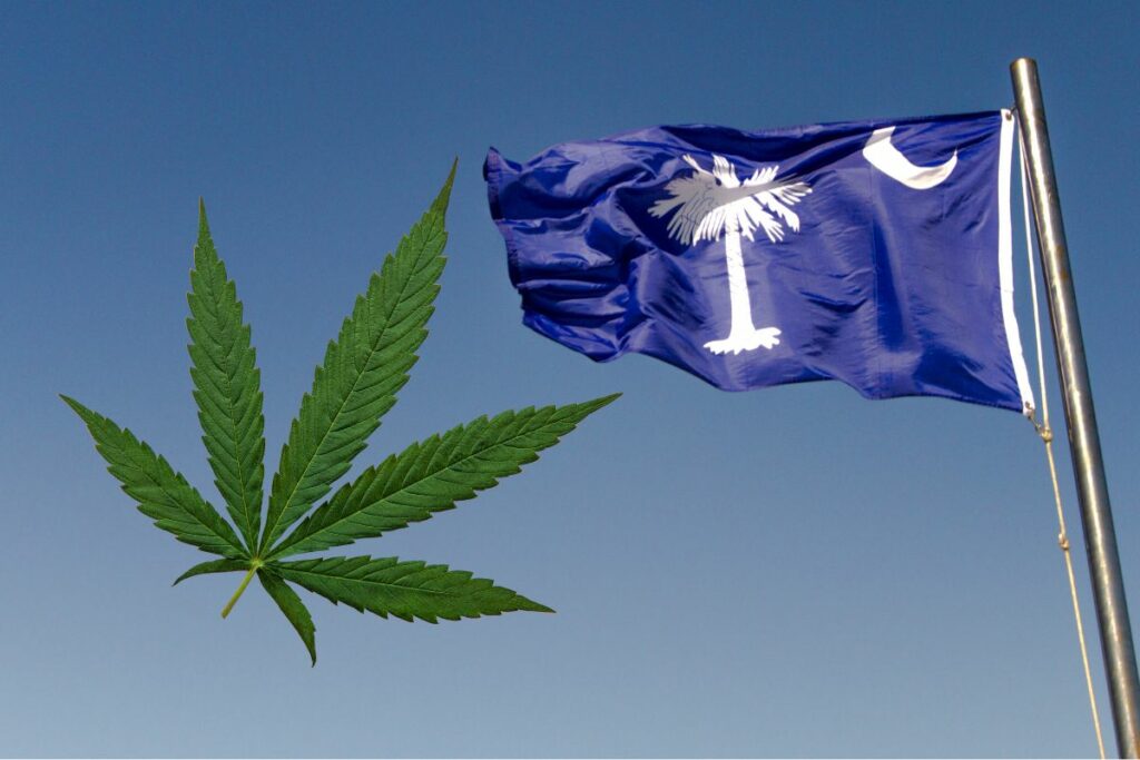 A flag combining the imagery of a marijuana leaf and the state flag of South Carolina.