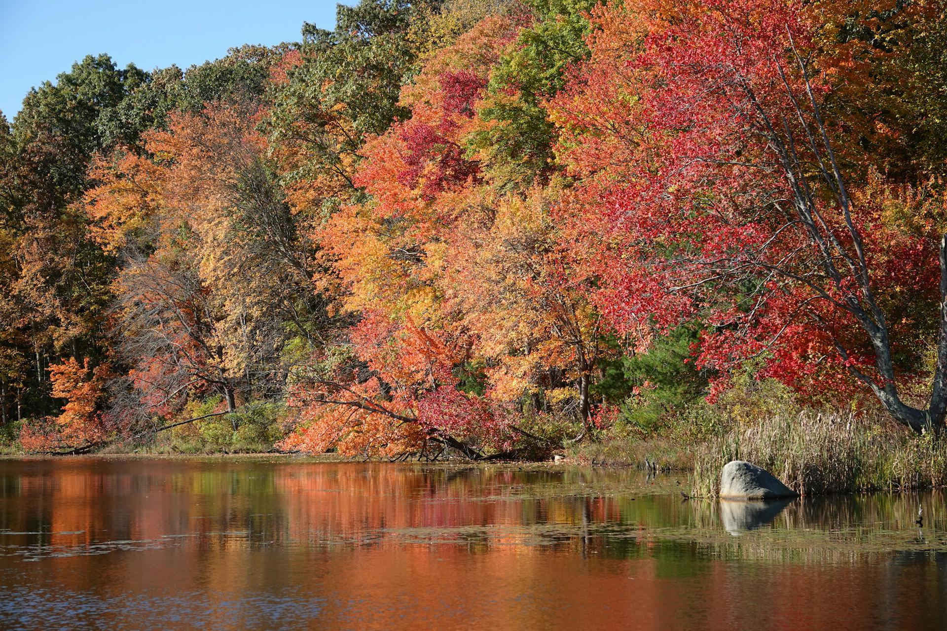 A serene lake reflecting vibrant fall foliage in Massachusetts