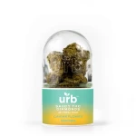 An Urb Saucy THC Diamond Caviar Flower 3.5g in a glass container.