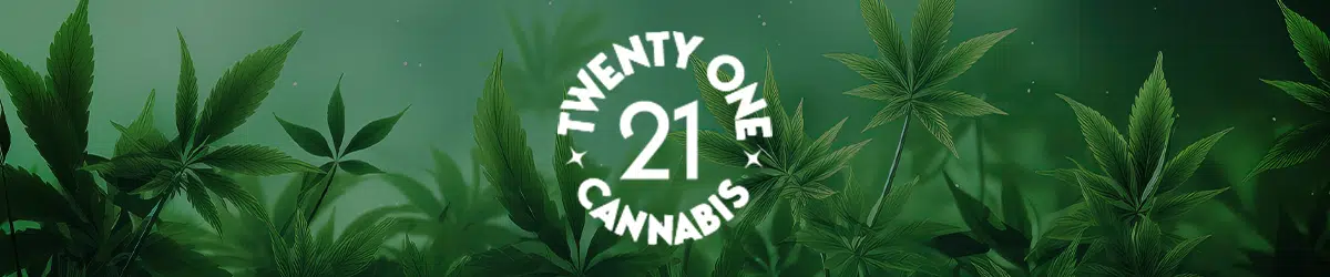 Twenty One logo banner