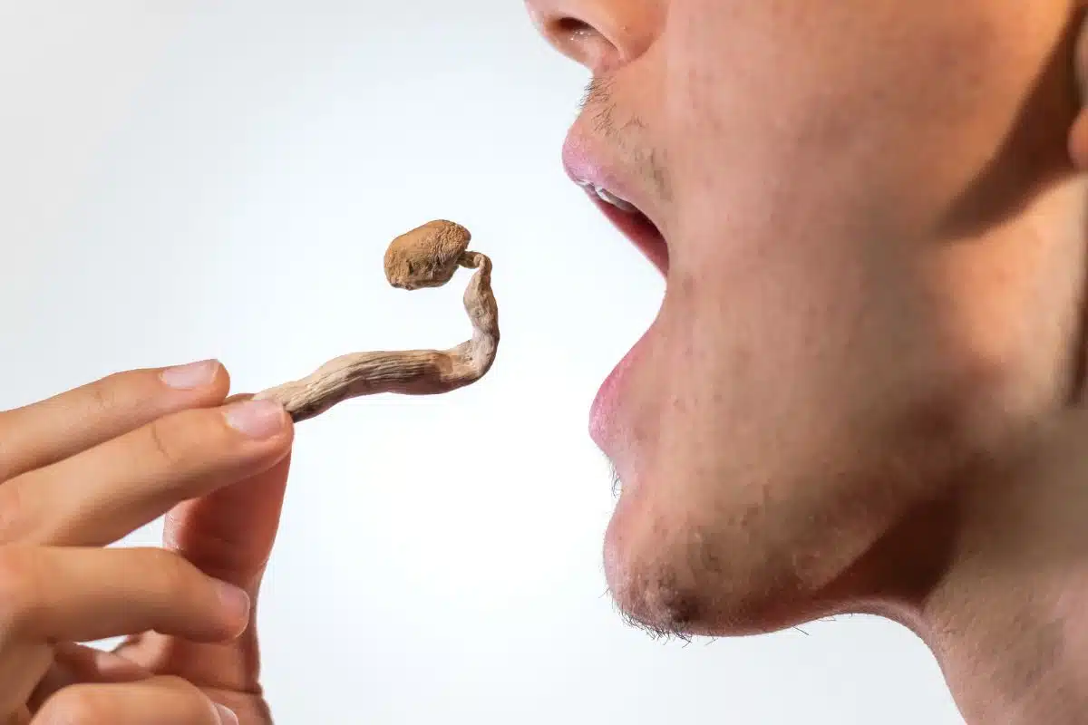 A man about to chew mushroom