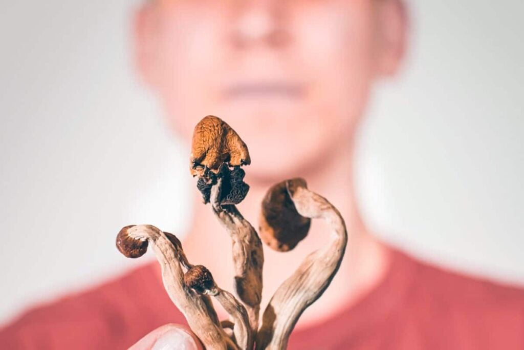 A man ready to eat shroom and have fun