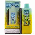 A box of Brixz Bar 9000 Puff Disposable Vape in front of a yellow box.